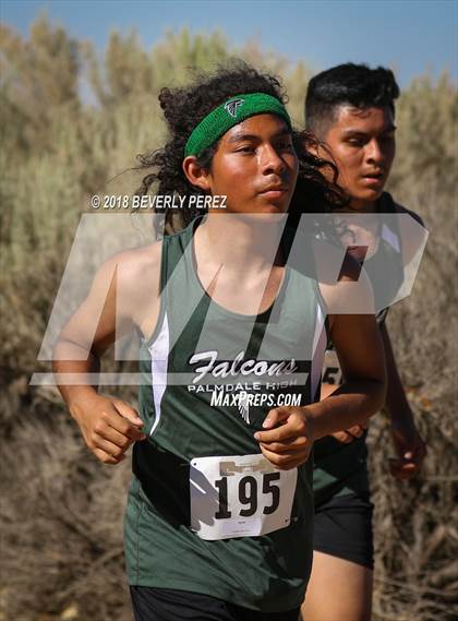 Thumbnail 2 in Golden League Meet #1  photogallery.