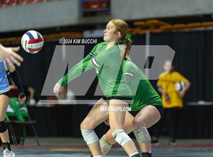 Thumbnail 1 in Williamstown vs. Charleston Catholic (WVSSAC Class AA Quarterfinal) photogallery.
