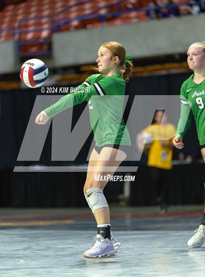 Thumbnail 3 in Williamstown vs. Charleston Catholic (WVSSAC Class AA Quarterfinal) photogallery.
