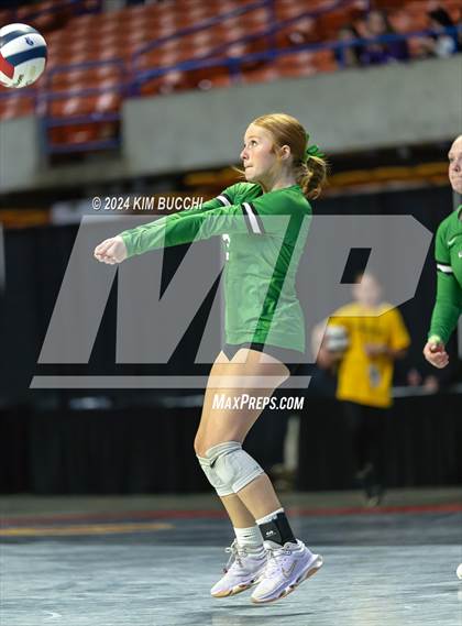 Thumbnail 1 in Williamstown vs. Charleston Catholic (WVSSAC Class AA Quarterfinal) photogallery.