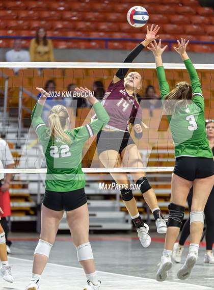 Thumbnail 1 in Williamstown vs. Charleston Catholic (WVSSAC Class AA Quarterfinal) photogallery.