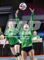 Photo from the gallery "Williamstown vs. Charleston Catholic (WVSSAC Class AA Quarterfinal)"