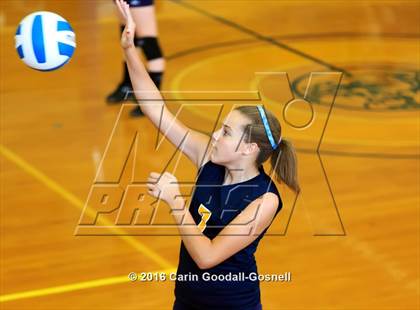 Thumbnail 1 in Southern Wayne @ Goldsboro photogallery.