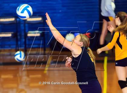 Thumbnail 3 in Southern Wayne @ Goldsboro photogallery.