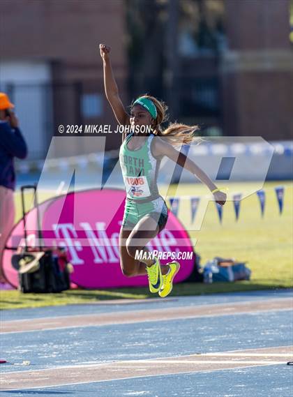 Thumbnail 3 in UF Relays (Saturday - Triple Jump) photogallery.