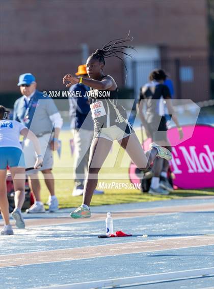 Thumbnail 1 in UF Relays (Saturday - Triple Jump) photogallery.