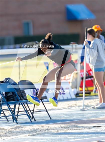 Thumbnail 2 in UF Relays (Saturday - Triple Jump) photogallery.