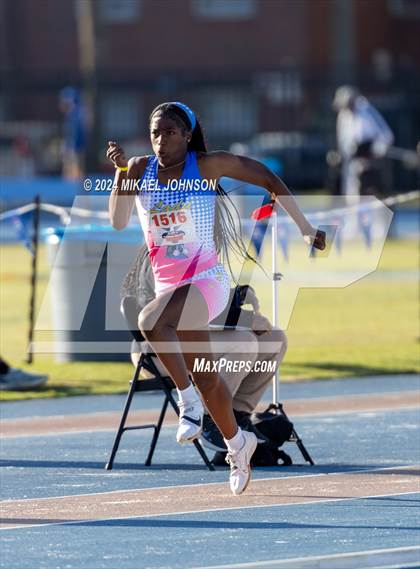 Thumbnail 3 in UF Relays (Saturday - Triple Jump) photogallery.