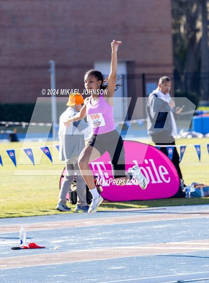 Thumbnail 2 in UF Relays (Saturday - Triple Jump) photogallery.
