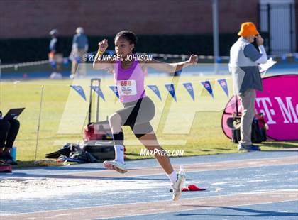 Thumbnail 3 in UF Relays (Saturday - Triple Jump) photogallery.