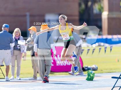 Thumbnail 3 in UF Relays (Saturday - Triple Jump) photogallery.