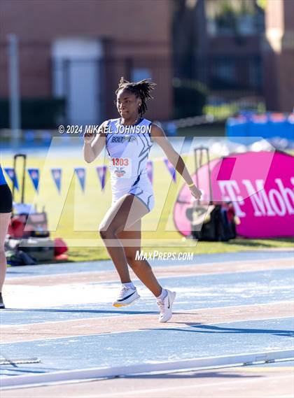 Thumbnail 3 in UF Relays (Saturday - Triple Jump) photogallery.