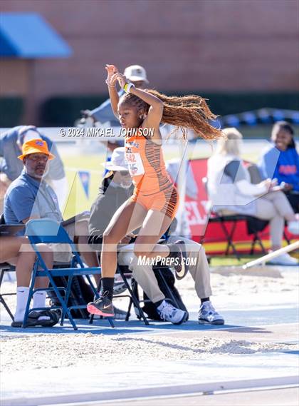 Thumbnail 2 in UF Relays (Saturday - Triple Jump) photogallery.