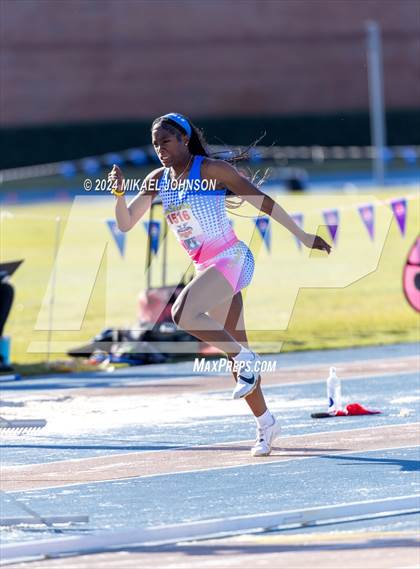 Thumbnail 2 in UF Relays (Saturday - Triple Jump) photogallery.