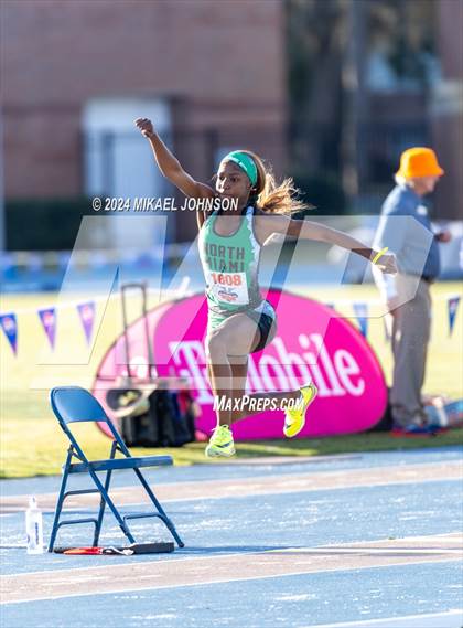 Thumbnail 2 in UF Relays (Saturday - Triple Jump) photogallery.