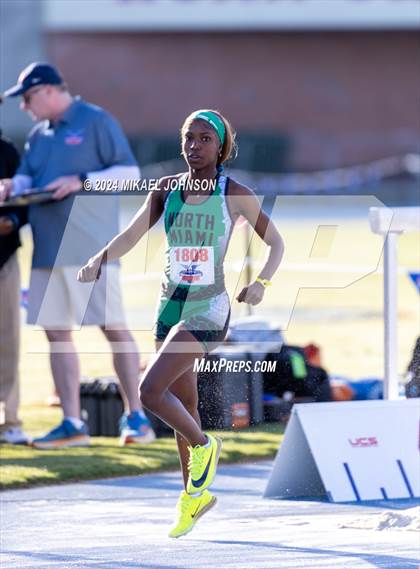 Thumbnail 3 in UF Relays (Saturday - Triple Jump) photogallery.
