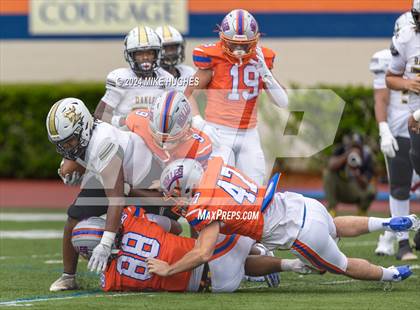 Thumbnail 1 in Oakleaf @ Bolles photogallery.