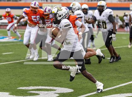 Thumbnail 2 in Oakleaf @ Bolles photogallery.