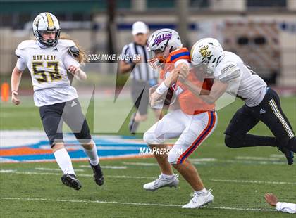 Thumbnail 2 in Oakleaf @ Bolles photogallery.