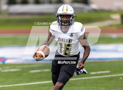Thumbnail 2 in Oakleaf @ Bolles photogallery.