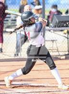 Photo from the gallery "Shadow Ridge @ O'Connor"
