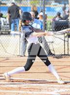 Photo from the gallery "Shadow Ridge @ O'Connor"