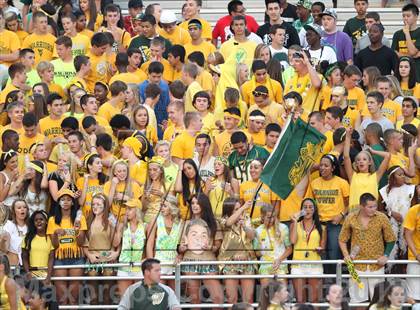 Thumbnail 3 in Central @ Waubonsie Valley photogallery.