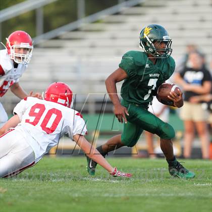 Thumbnail 1 in Central @ Waubonsie Valley photogallery.