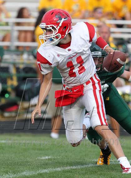 Thumbnail 3 in Central @ Waubonsie Valley photogallery.