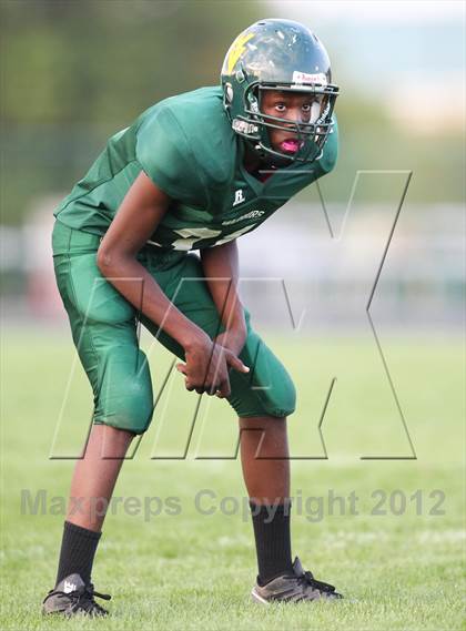 Thumbnail 1 in Central @ Waubonsie Valley photogallery.