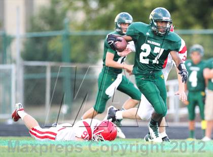 Thumbnail 3 in Central @ Waubonsie Valley photogallery.