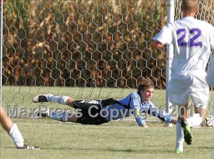 Thumbnail 1 in Williamsville @ Rochester photogallery.