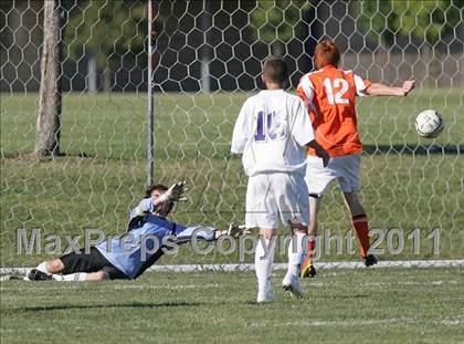 Thumbnail 3 in Williamsville @ Rochester photogallery.