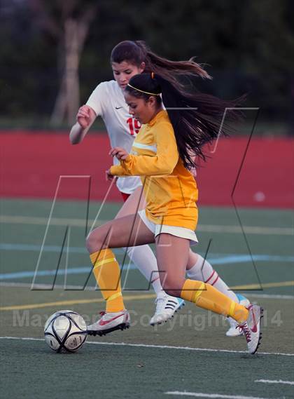 Thumbnail 2 in Monte Vista vs. San Ramon Valley (CIF NCS Final) photogallery.