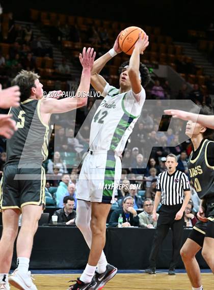 Thumbnail 2 in Rock Canyon vs. ThunderRidge (CHSAA 6A Great 8) photogallery.