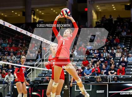 Thumbnail 1 in Aubrey vs. Bellville (UIL 4A Semifinal) photogallery.