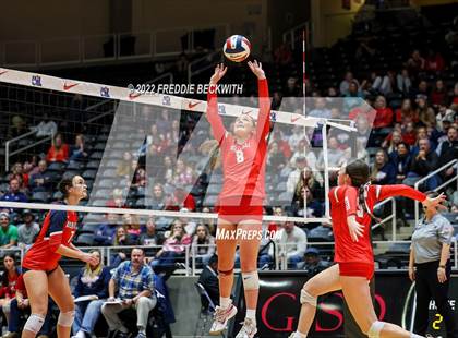 Thumbnail 2 in Aubrey vs. Bellville (UIL 4A Semifinal) photogallery.