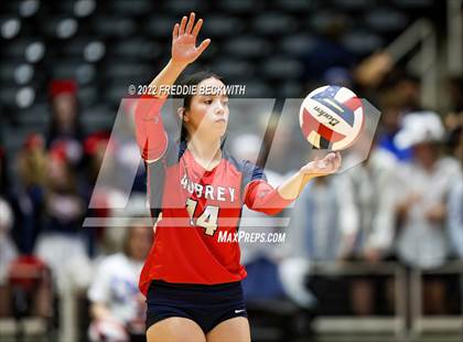 Thumbnail 2 in Aubrey vs. Bellville (UIL 4A Semifinal) photogallery.