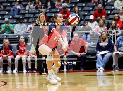 Thumbnail 2 in Aubrey vs. Bellville (UIL 4A Semifinal) photogallery.