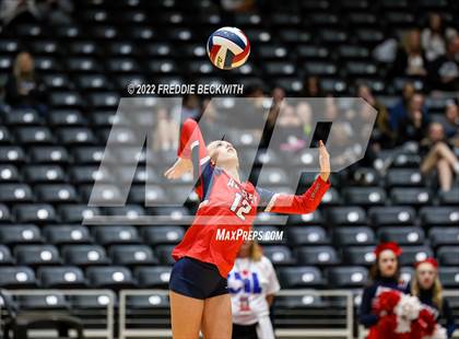 Thumbnail 1 in Aubrey vs. Bellville (UIL 4A Semifinal) photogallery.