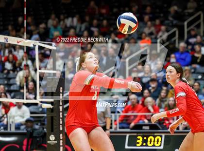 Thumbnail 2 in Aubrey vs. Bellville (UIL 4A Semifinal) photogallery.