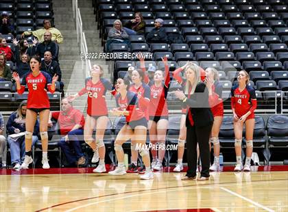 Thumbnail 3 in Aubrey vs. Bellville (UIL 4A Semifinal) photogallery.