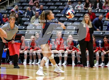 Thumbnail 1 in Aubrey vs. Bellville (UIL 4A Semifinal) photogallery.