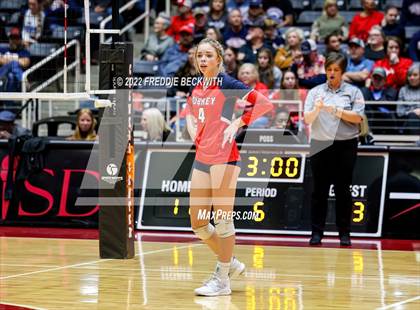 Thumbnail 1 in Aubrey vs. Bellville (UIL 4A Semifinal) photogallery.