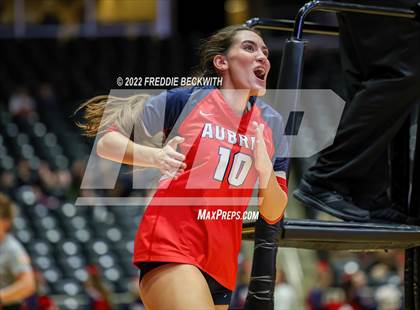 Thumbnail 2 in Aubrey vs. Bellville (UIL 4A Semifinal) photogallery.
