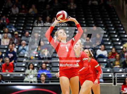 Thumbnail 3 in Aubrey vs. Bellville (UIL 4A Semifinal) photogallery.