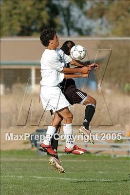 Thumbnail 2 in Sheldon @ Franklin photogallery.