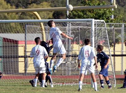 Thumbnail 2 in JV: Rancho Cotate @ Cardinal Newman photogallery.
