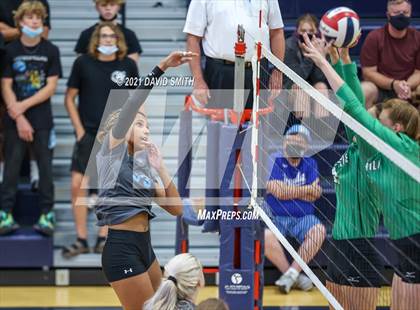 Thumbnail 3 in Smithville @ Oak Park photogallery.