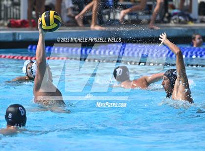 Thumbnail 2 in Damien vs La Jolla (America's Finest City) photogallery.